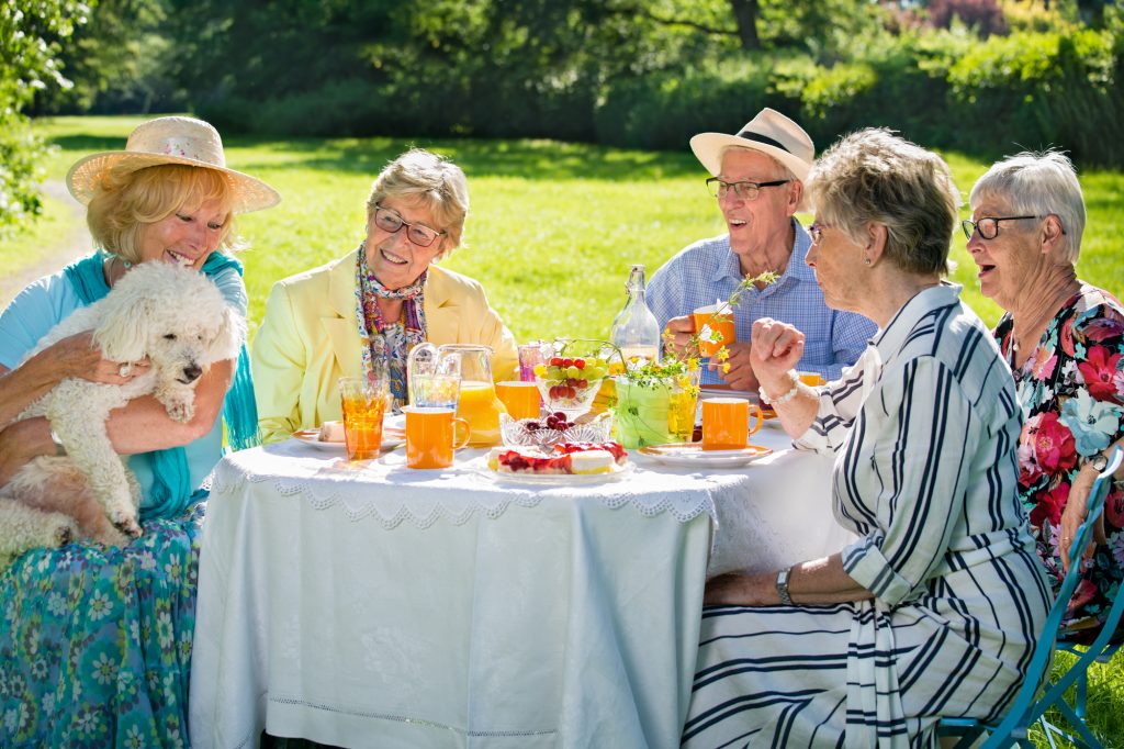 Senior family members are picnicking in park, having meal, eating cake, drinking fruit juice, enjoying a small white dog, held in arms by a blond lady.