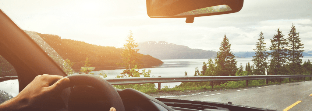 View from inside car out at body of water and trees while driving by